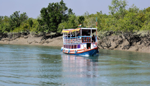 Sundarban tours